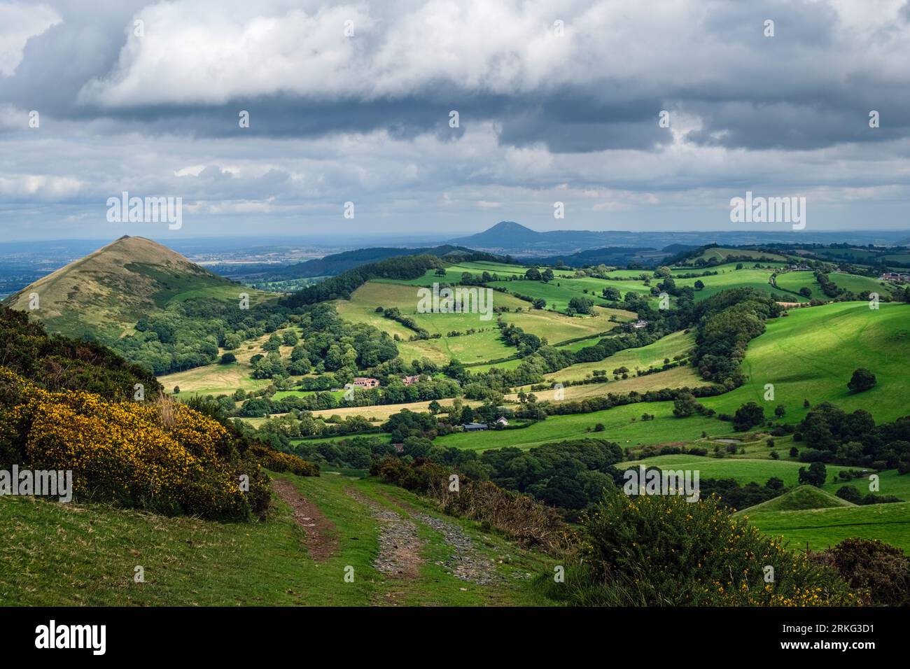 Vue de Caer Caradoc Hill en regardant vers le Lawley et le Wrekin, Shropshire Hills AONB, Shropshire, Angleterre Banque D'Images