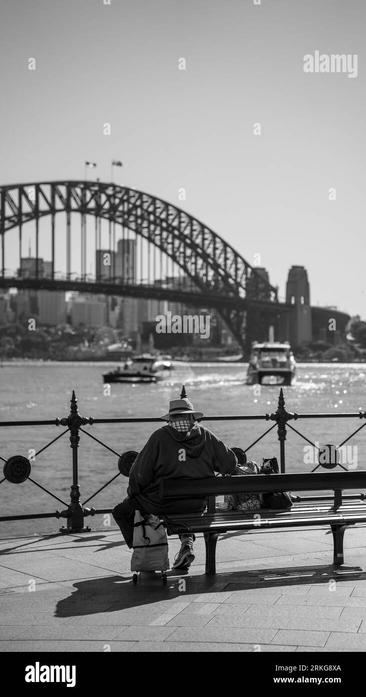 Un homme adulte est représenté assis sur un banc en face de l'emblématique Sydney Harbour Bridge Banque D'Images