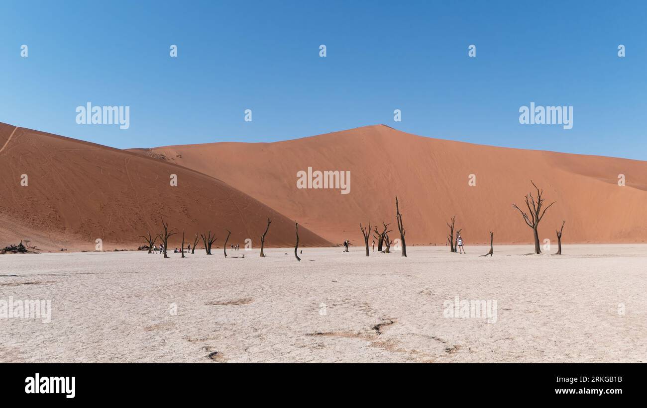 Une vue aérienne de Deadvlei dans le parc national Namib-Naukluft en Namibie par une journée ensoleillée Banque D'Images