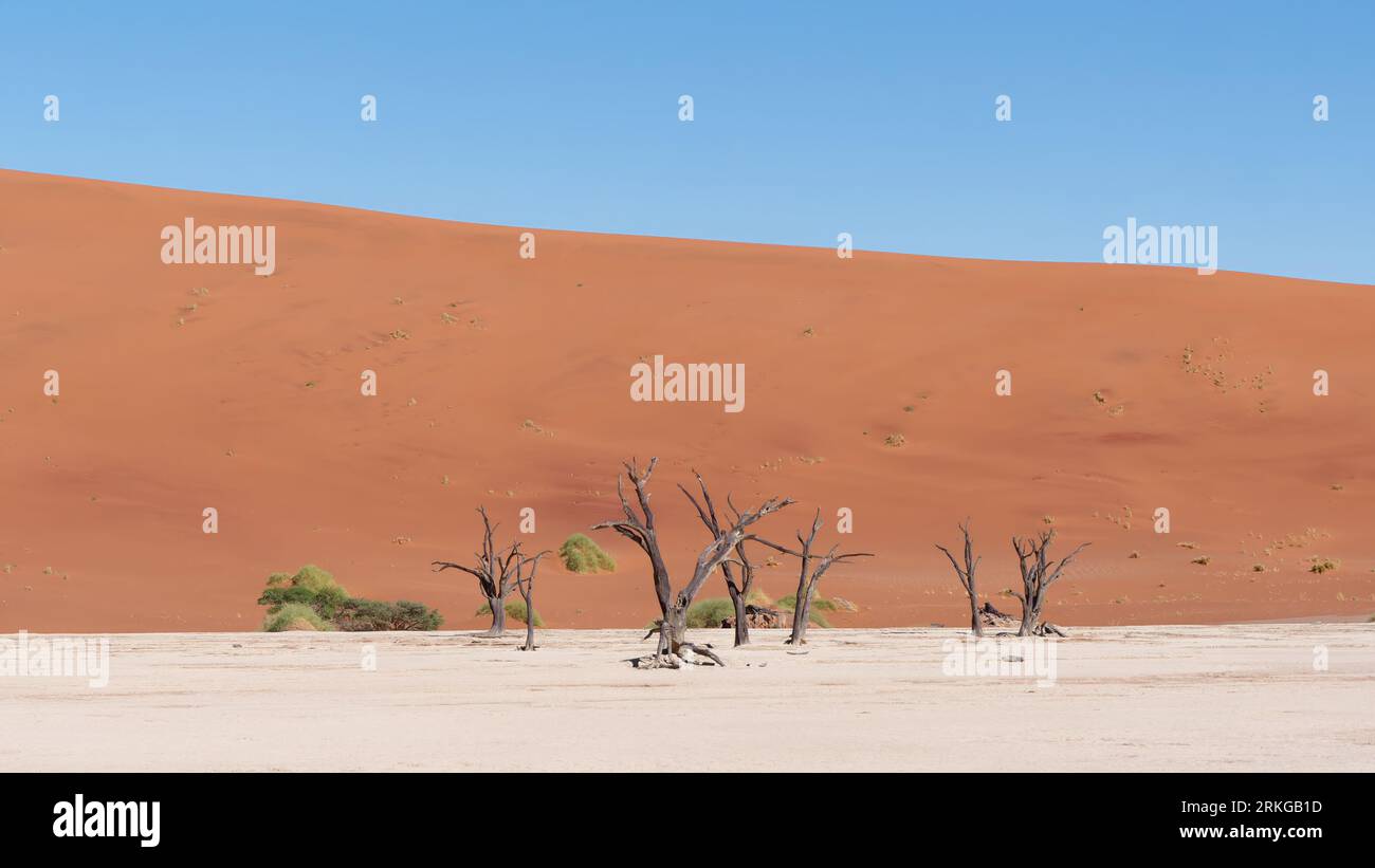 Une vue aérienne de Deadvlei dans le parc national Namib-Naukluft en Namibie par une journée ensoleillée Banque D'Images