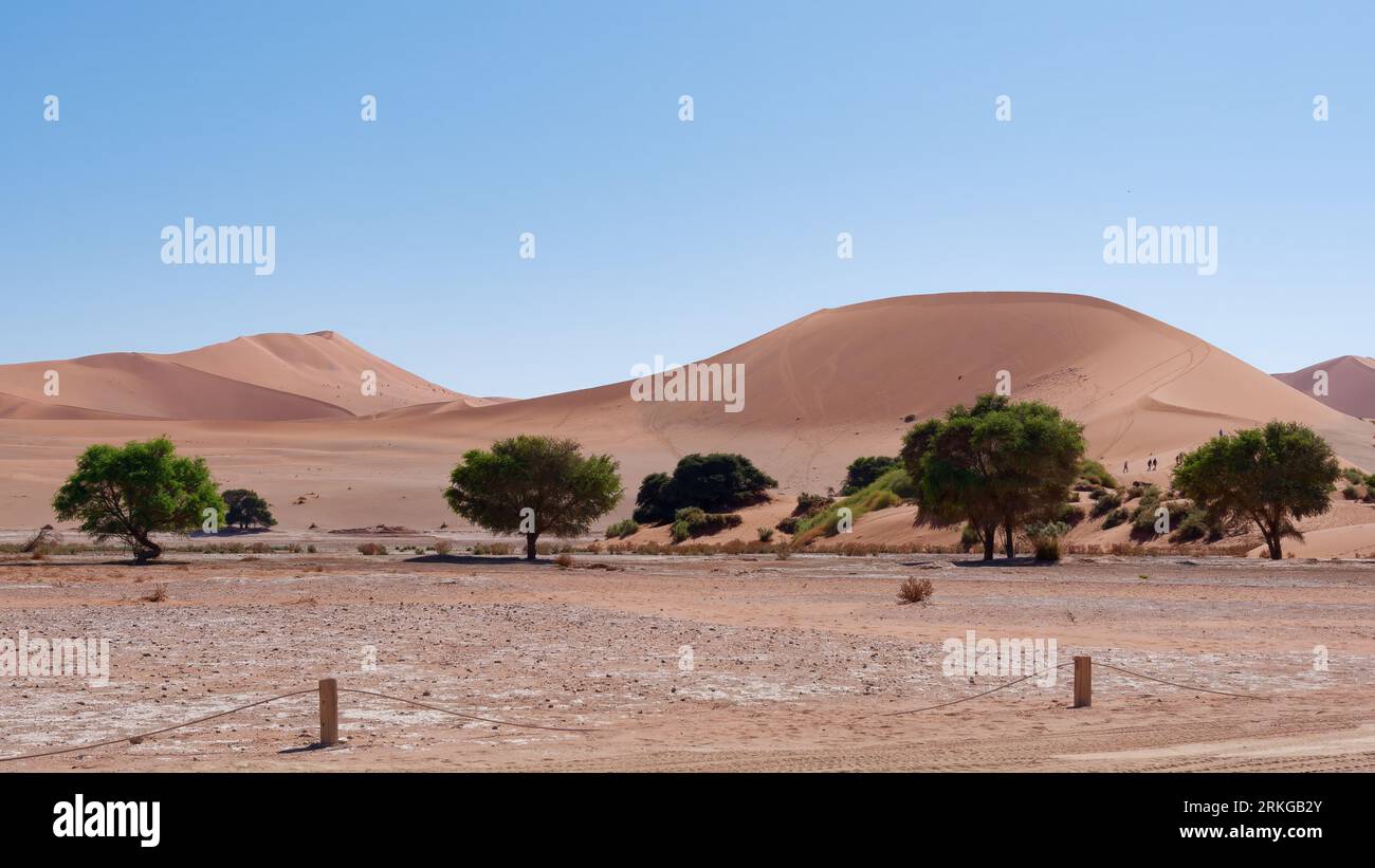 Une vue aérienne de Deadvlei dans le parc national Namib-Naukluft en Namibie par une journée ensoleillée Banque D'Images