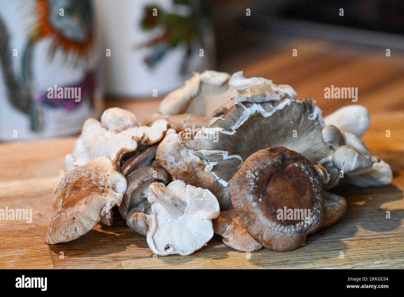 Champignons sauvages frais prêts pour la cuisson sur planche à découper en bois UK Banque D'Images