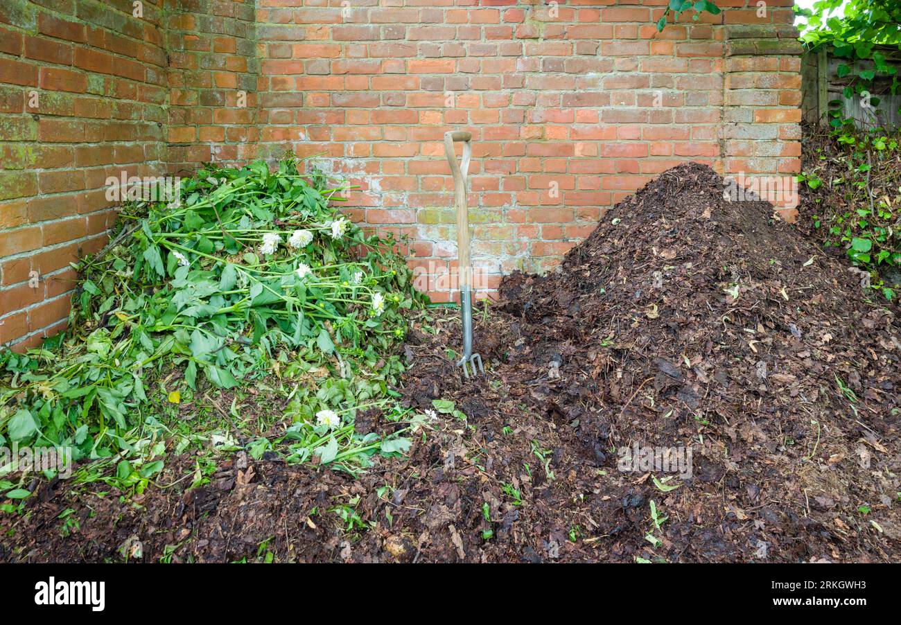 Tas de compost. Compostage à la maison dans un jardin, Royaume-Uni. Deux tas de déchets verts de jardin, représente le jardinage organique. Banque D'Images