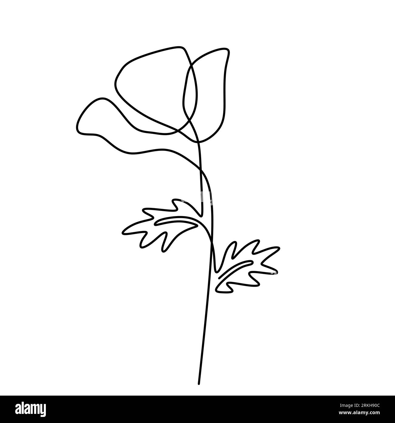 Fleur de coquelicot continue de style minimalisme dessiné à la main isolé sur fond blanc. Plante abstraite vectorielle dans l'illustration de printemps. Nature florale Illustration de Vecteur