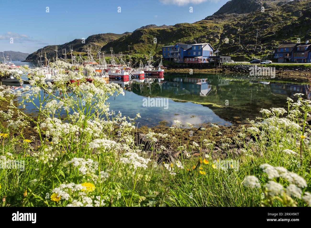 Bateaux amarrés dans le port du village de pêcheurs en été. Kamoyvaer, île de Magerøya, Honningsvar, Troms og Finnmark, Norvège, Scandinavie Banque D'Images