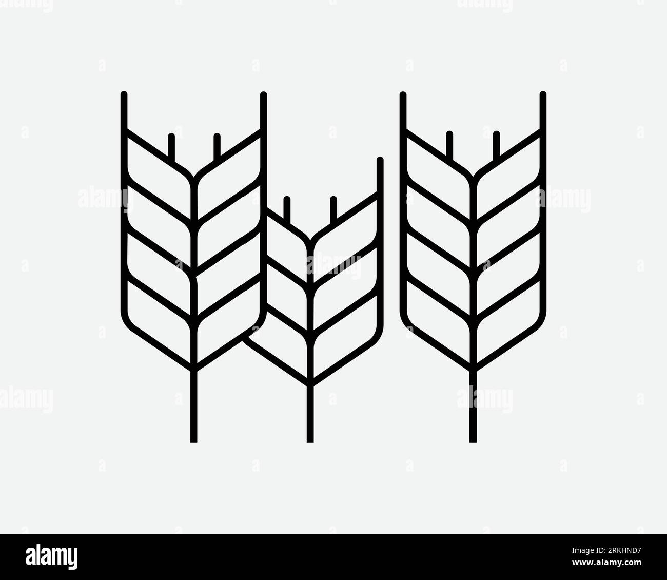 Icône de blé grain Farm Crop riz Rye orge céréales Seed maïs Organic Plant Farming Noir blanc contour forme vecteur Clipart Illustration graphique symbole Illustration de Vecteur
