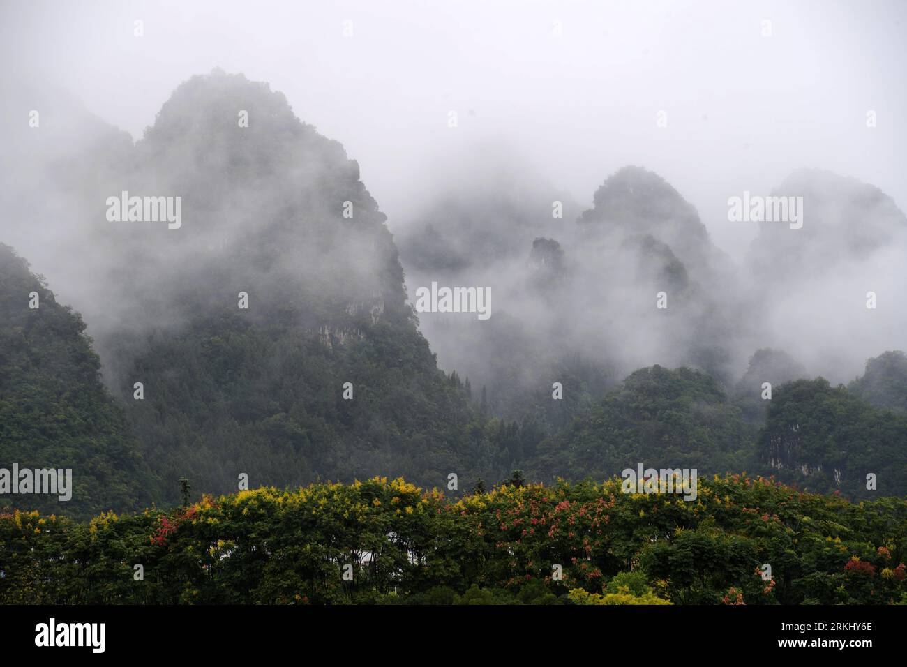 Xingyi. 25 août 2023. Cette photo aérienne prise le 25 août 2023 montre le paysage du parc géologique de Wanfenglin dans la ville de Xingyi de Qianxinan Buyi et la préfecture autonome de Miao, dans la province du Guizhou, au sud-ouest de la Chine. Wanfenglin signifie littéralement forêt de dix mille sommets. La préfecture autonome de Qianxinan Buyi et Miao à Guizhou est riche en ressources écotouristiques et le gouvernement local a fait la promotion de son industrie touristique ces dernières années pour un meilleur développement rural. Crédit : Yang Ying/Xinhua/Alamy Live News Banque D'Images