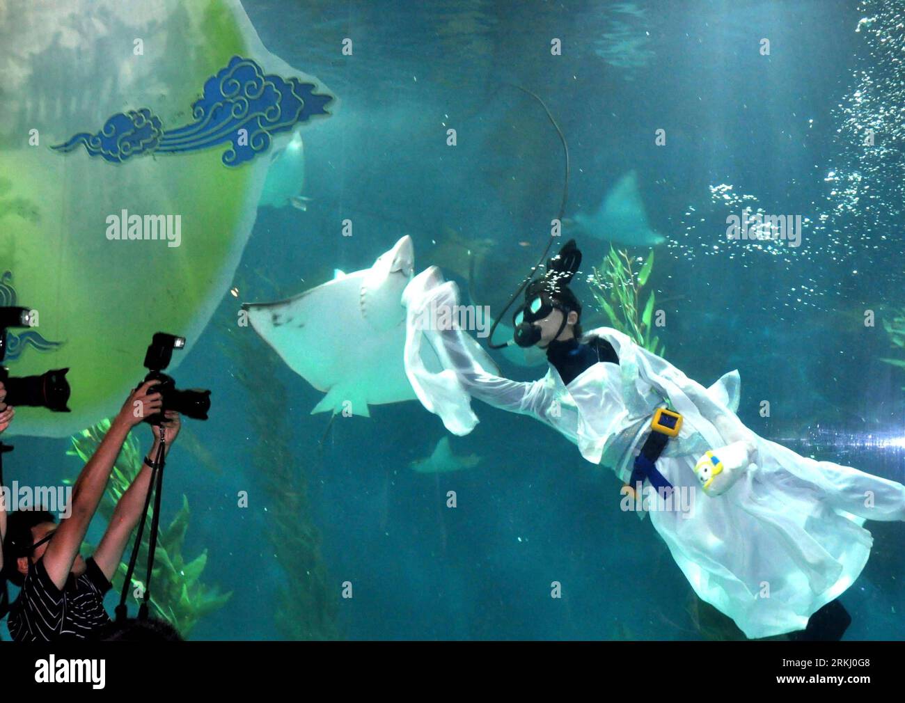 Bildnummer : 55936098 Datum : 11.09.2011 Copyright : imago/Xinhua SHANGHAI, 11 septembre 2011 (Xinhua) -- Un plongeur habillé en Chang e, la daieté chinoise de la lune, se produit pour les visiteurs dans un aquarium océanique de Shanghai à Shanghai, dans l'est de la Chine, le 11 septembre 2011, pour célébrer le jour de mi-automne qui tombe le 12 septembre. (Xinhua/Liu Ying) (zhs) CHINE-SHANGHAI-FÊTES DE LA MI-AUTOMNE (CN) PUBLICATIONxNOTxINxCHN Gesellschaft x2x xtm 2011 quer o0 Taucher Mondgöttin Kostüm o00 Mondfest 55936098 Date 11 09 2011 Copyright Imago XINHUA Shanghai sept 11 2011 XINHUA un plongeur habillé en Chang e Chinois Banque D'Images
