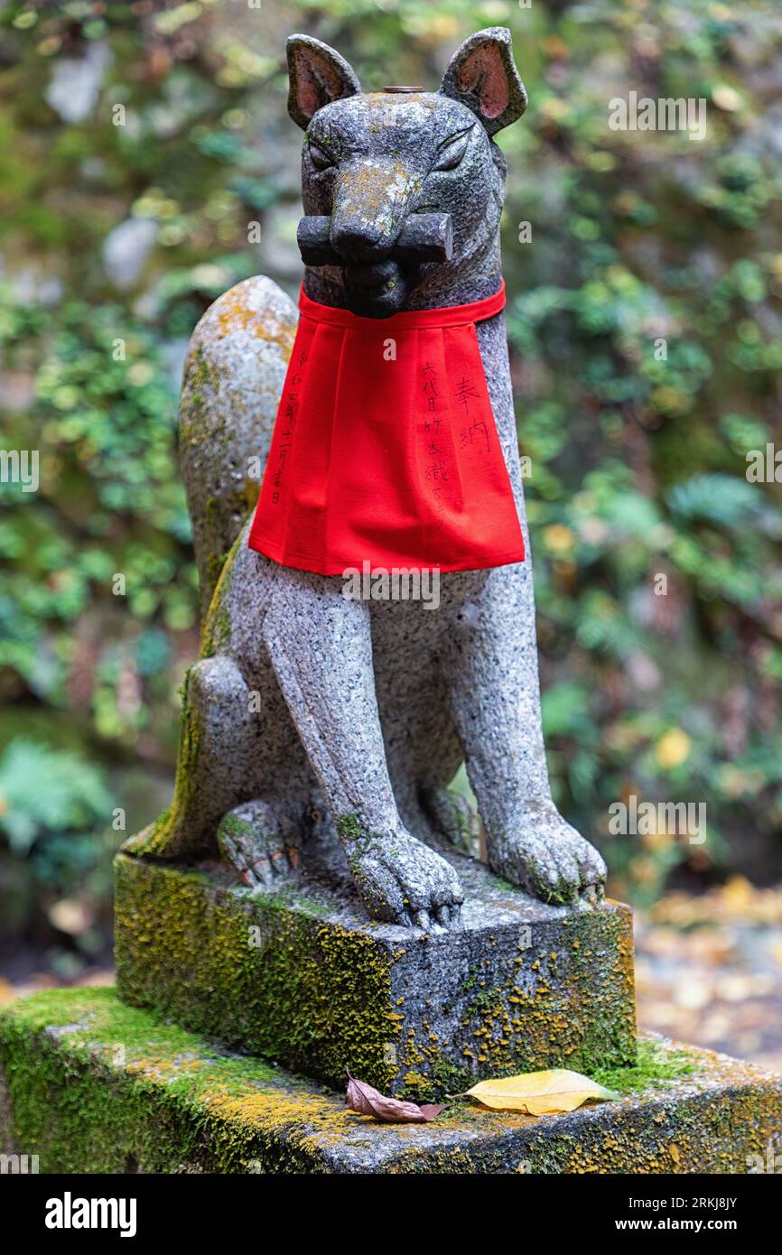 Statue d'un renard (en kitsune japonais) portant un bavoir rouge, au sanctuaire Fushimi Inari à Kyoto, Japon. Les renards sont considérés comme les messagers du dieu Inari. Banque D'Images