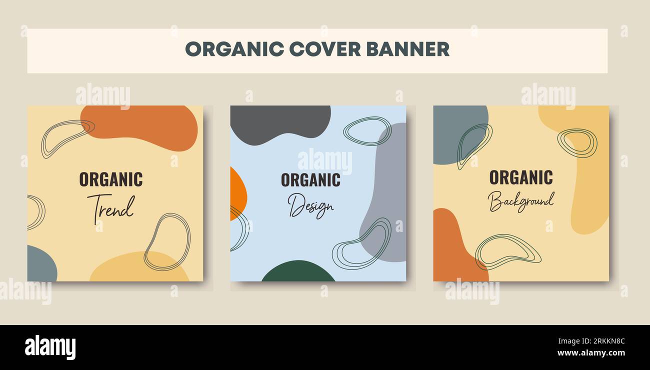 Bel ensemble féminin de modèles de post de flux de médias sociaux avec composition de formes organiques abstraites minimales dans le style de collage contemporain à la mode, peut Illustration de Vecteur