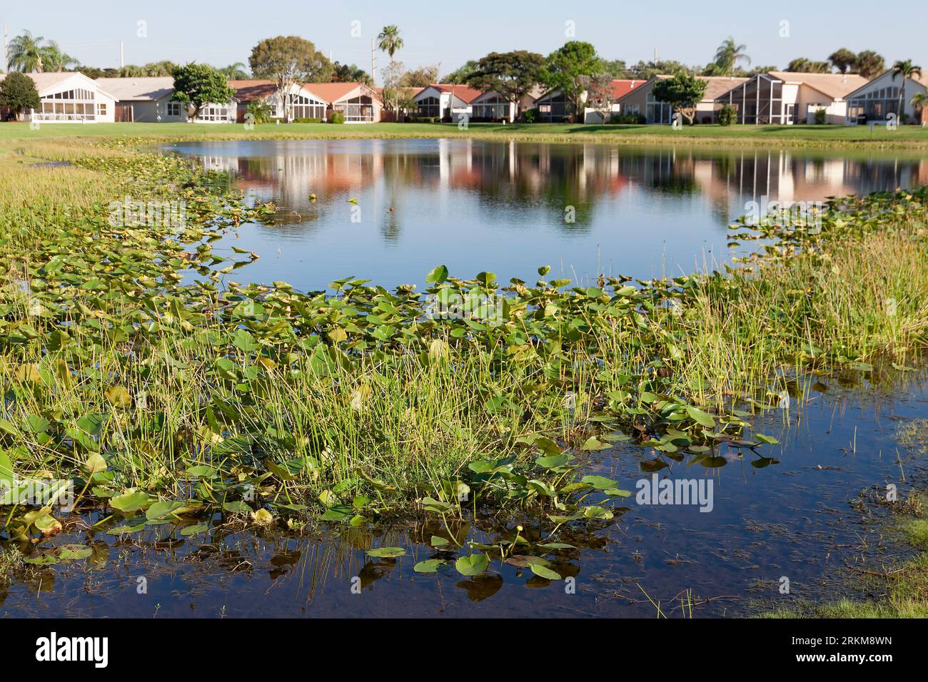 Lac d'eau douce dans une communauté fermée en Floride. Banque D'Images