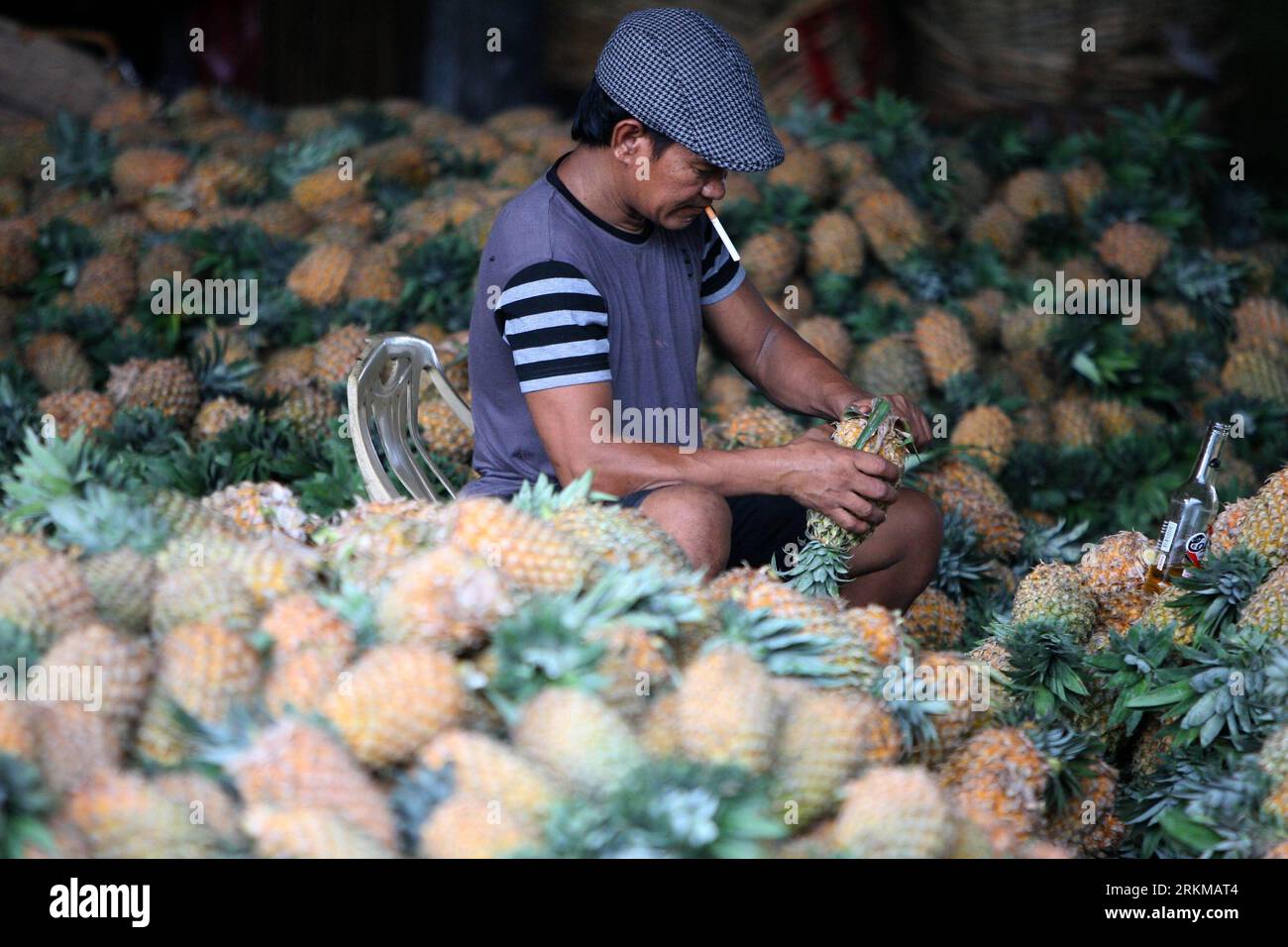 Bildnummer : 56643142 Datum : 06.12.2011 Copyright : imago/Xinhua (111206) -- MANILLE, 6 décembre 2011 (Xinhua) -- Un ouvrier coupe des couronnes d'ananas pour les vendre au marché Cloverfield de Quezon City, Philippines, le 6 décembre 2011. La Banque asiatique de développement (BAD) a revu à la baisse ses prévisions de croissance pour les Philippines cette année à 3. 7 % en raison du ralentissement mondial. (Xinhua/Rouelle Umali) (srb) PHILIPPINES-MANILLE-CROISSANCE ÉCONOMIQUE PUBLICATIONxNOTxINxCHN Gesellschaft xbs x2x 2011 quer o0 ananas Verarbeitung Raucher rauchen kurios 56643142 Date 06 12 2011 Copyright Imago XINHUA Manila DEC 6 2011 X. Banque D'Images