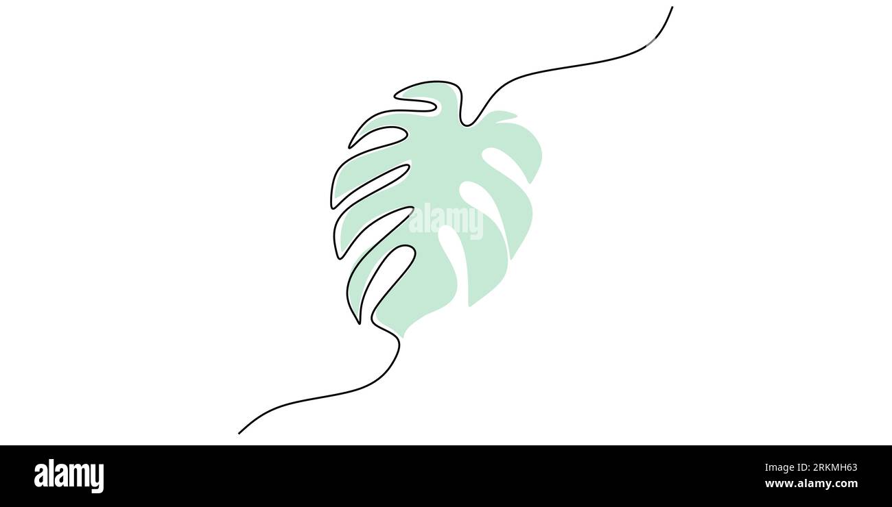 Continue une seule ligne de feuille de monstera isolée sur fond blanc. Illustration de Vecteur