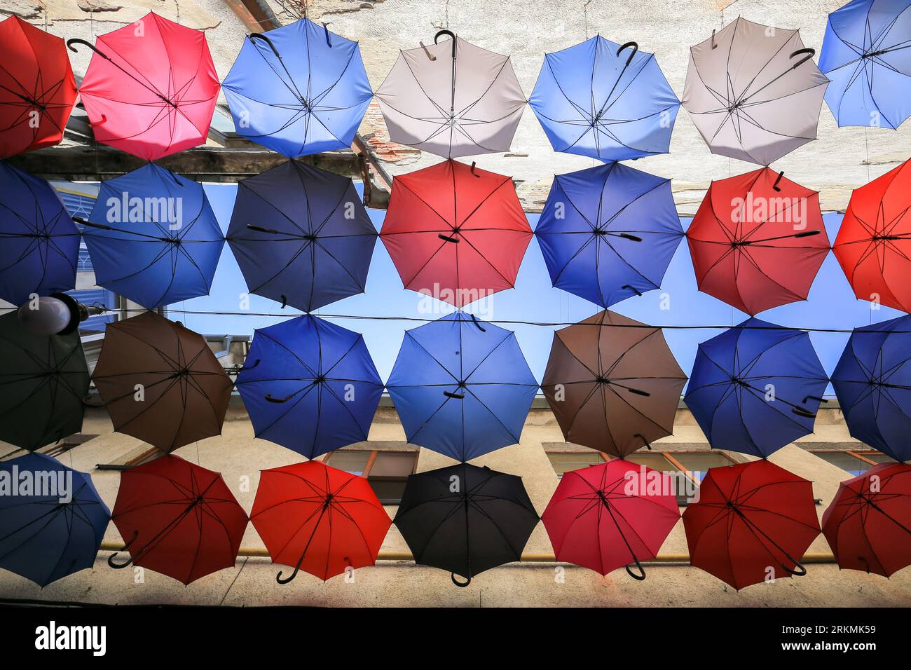 Parapluies colorés sur la rue dans la ville Uzhgorod en Ukraine Banque D'Images