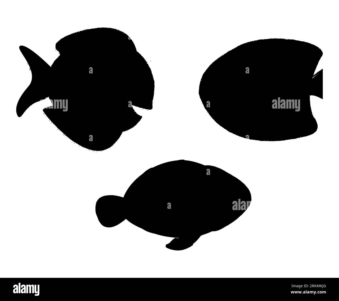 Ensemble de silhouettes de poissons, créatures marines, collection de silhouettes d'animaux aquatiques, vecteur de fruits de mer isolé sur fond blanc Illustration de Vecteur