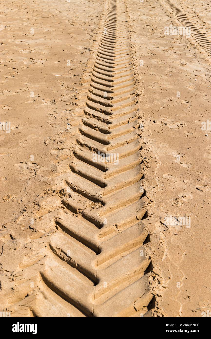 Traces de tracteurs vues dans le sable fin sur la plage entre Holkham et Wells-Next-Sea à Norfolk, prise le 14 août 2023. Banque D'Images