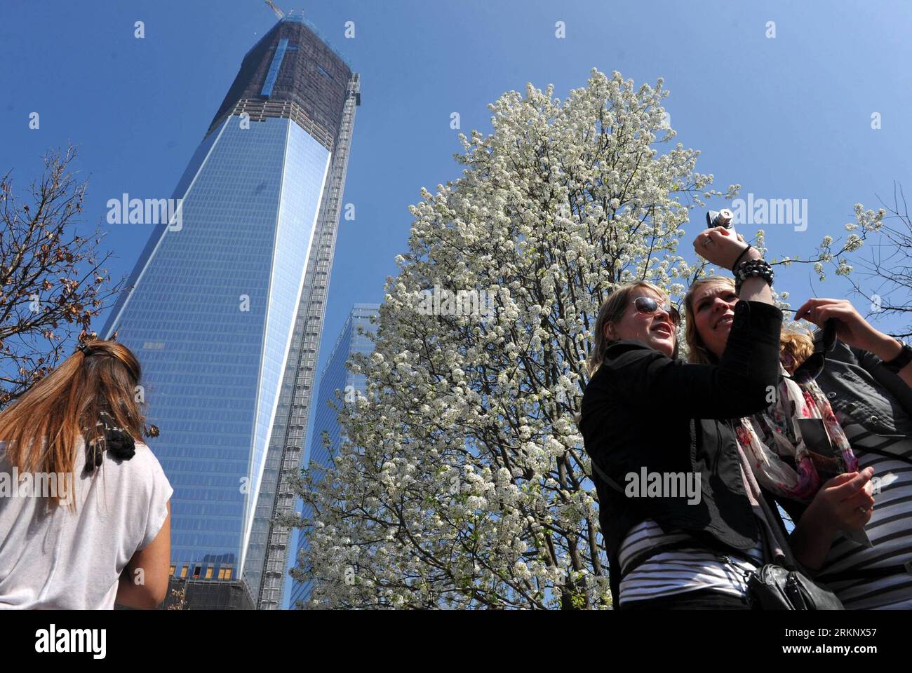 Bildnummer : 57607362 Datum : 20.03.2012 Copyright : imago/Xinhua (120322) -- NEW YORK, 22 mars 2012 (Xinhua) -- Prenez des photos de l'arbre survivant au World Trade Center à New York le 20 mars 2012. Le poirier de callery, récupéré des décombres des attaques du 11 septembre, a été soigné et replanté au Mémorial national du 11 septembre. (Xinhua/Wang Lei) (zx) US-NEW YORK-WTC-SURVIVOR TREE PUBLICATIONxNOTxINxCHN Gesellschaft USA Überlebensbaum Baum blüht Frühling Jahreszeit Ground Zero Premiumd xbs x0x 2012 quer 57607362 Date 20 03 2012 Copyright Imago XINHUA New York Banque D'Images