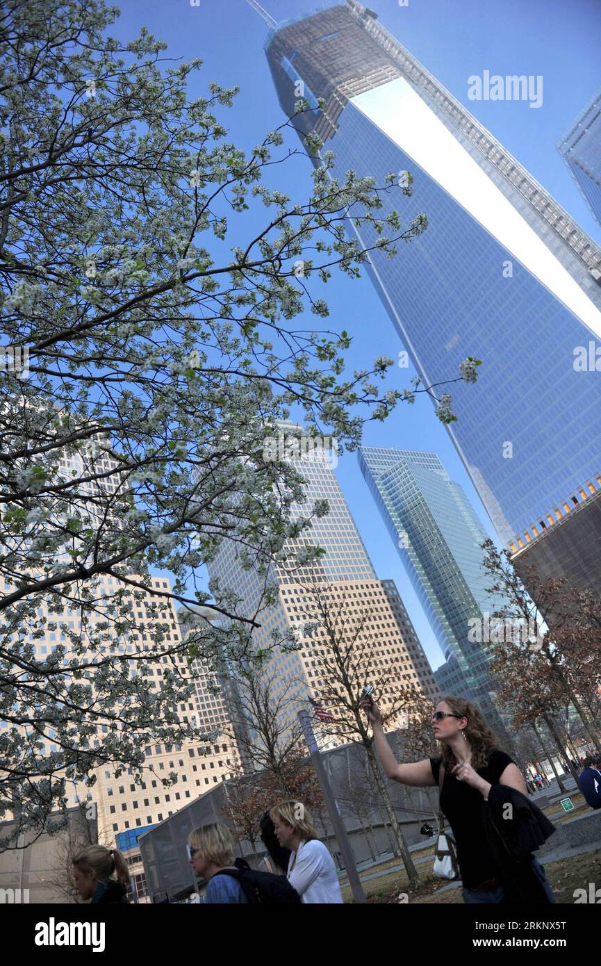 Bildnummer : 57607363 Datum : 20.03.2012 Copyright : imago/Xinhua (120322) -- NEW YORK, 22 mars 2012 (Xinhua) -- Une femme prend des photos de l'arbre survivant au World Trade Center à New York le 20 mars 2012. Le poirier de callery, récupéré des décombres des attaques du 11 septembre, a été soigné et replanté au Mémorial national du 11 septembre. (Xinhua/Wang Lei) (zx) US-NEW YORK-WTC-SURVIVOR TREE PUBLICATIONxNOTxINxCHN Gesellschaft USA Überlebensbaum Baum blüht Frühling Jahreszeit Ground Zero Premiumd xbs x0x 2012 hoch 57607363 Date 20 03 2012 Copyright Imago XINHUA Banque D'Images