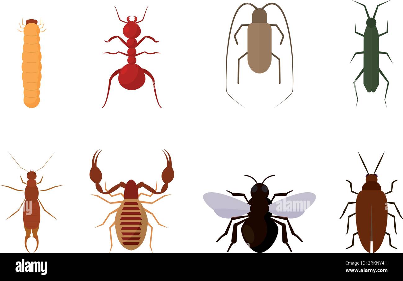 Ensemble de différentes icônes d'insectes de couleur vecteur Illustration de Vecteur