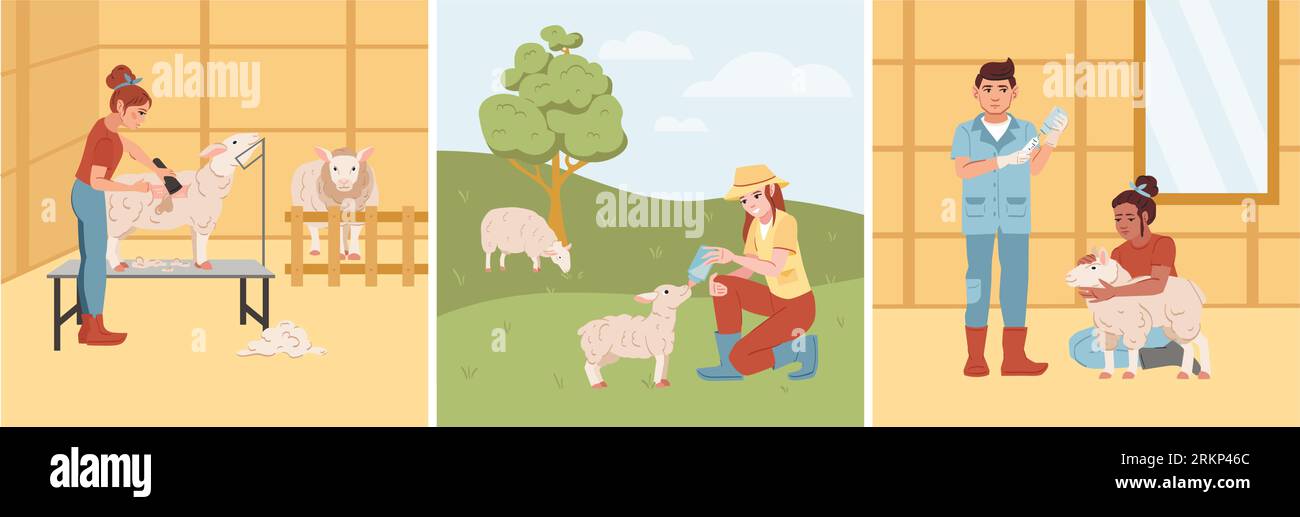 Ensemble plat d'élevage de moutons avec les agriculteurs tondant l'alimentation et donnant un traitement aux animaux illustration vectorielle isolée Illustration de Vecteur