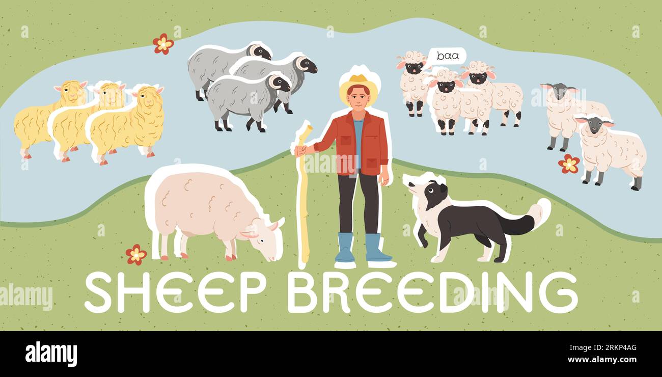 Agriculteur debout sur la pelouse avec diverses races de moutons illustration vectorielle de collage plat Illustration de Vecteur