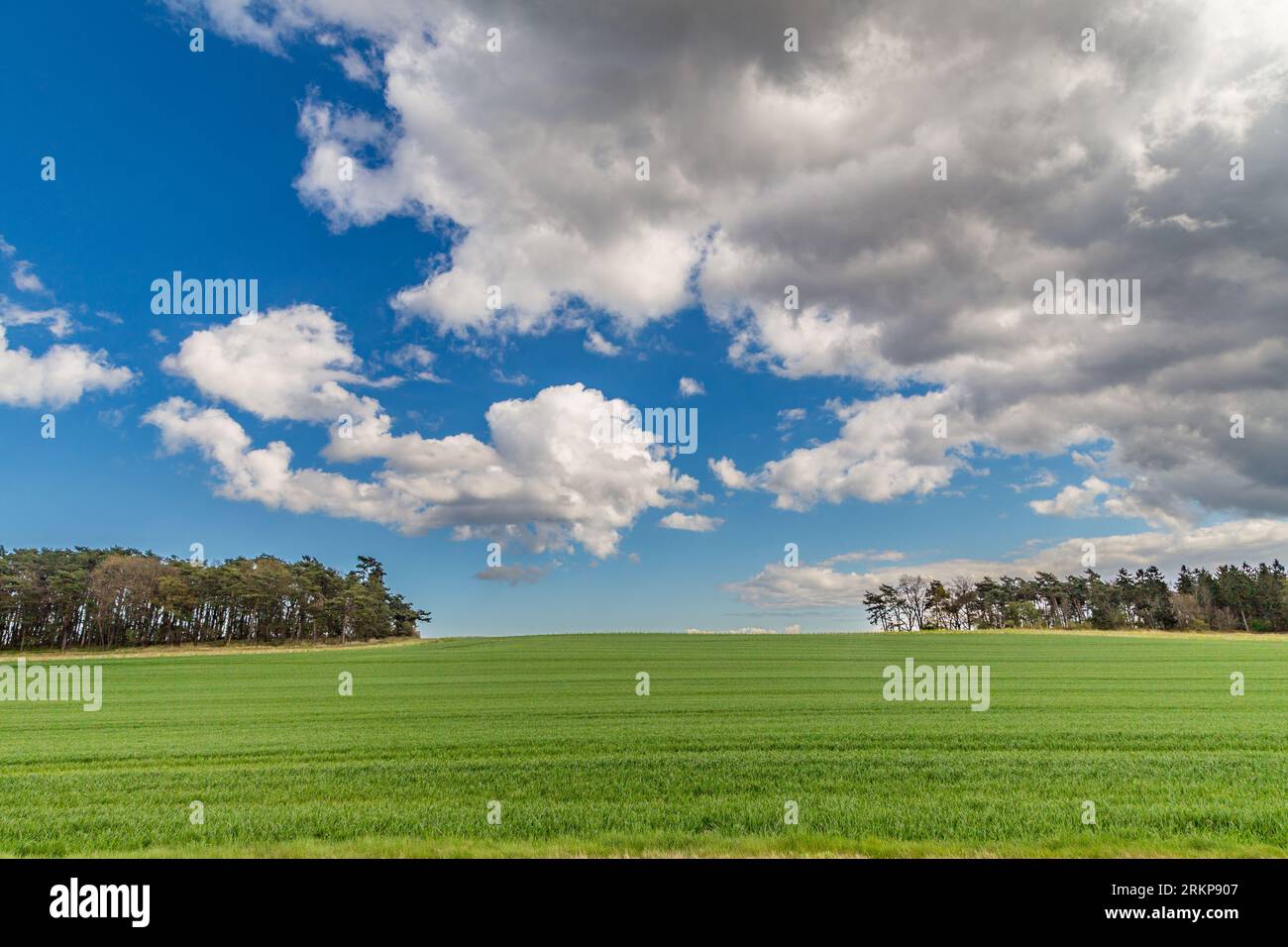 Paysage rural pittoresque à Usedom avec forêt et ciel sombre et bleu avec des nuages Banque D'Images Paysage rural pittoresque à Usedom avec forêt et ciel sombre et bleu avec des nuages Banque D'Images