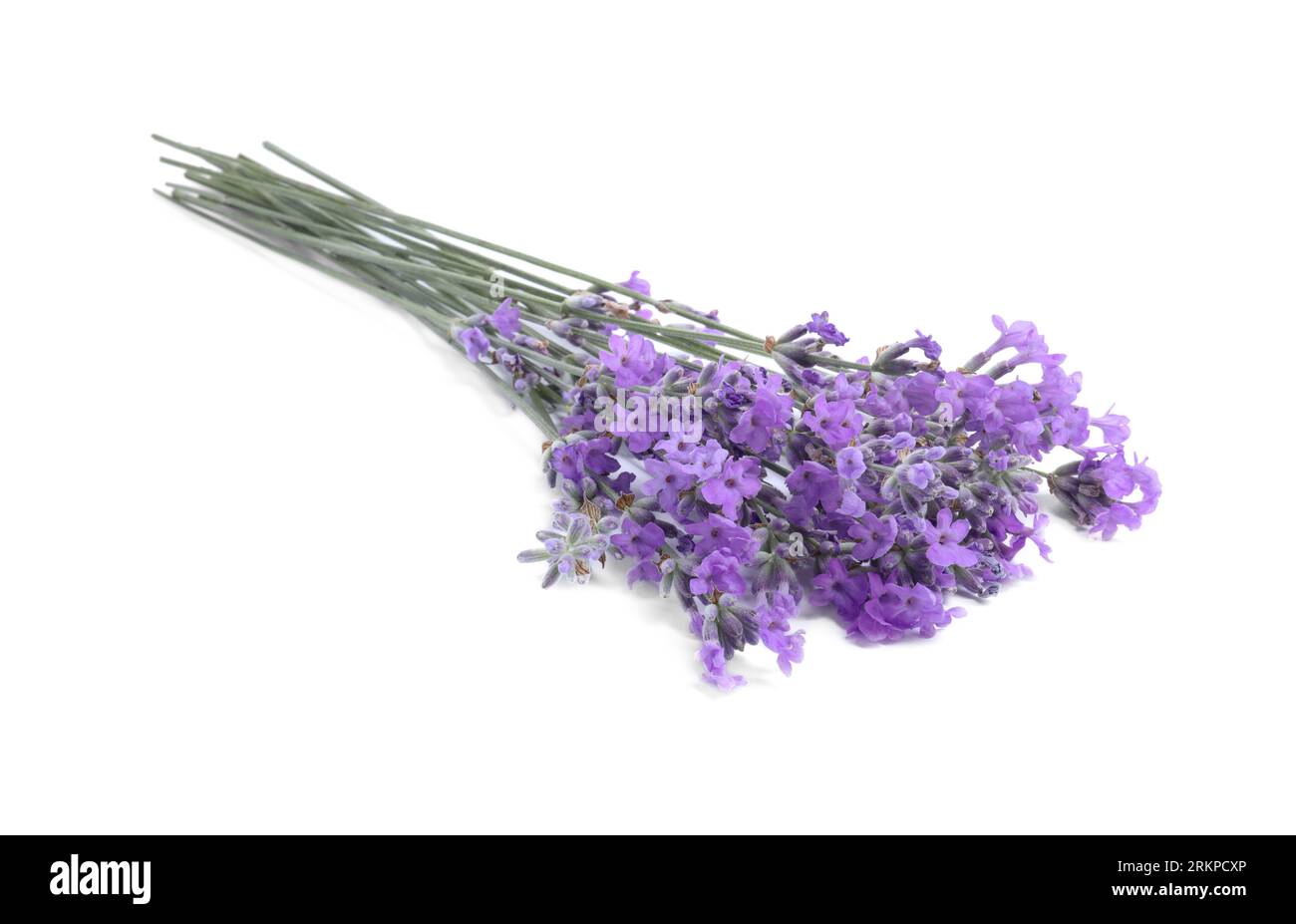 Bouquet de belles fleurs de lavande isolé sur blanc Banque D'Images
