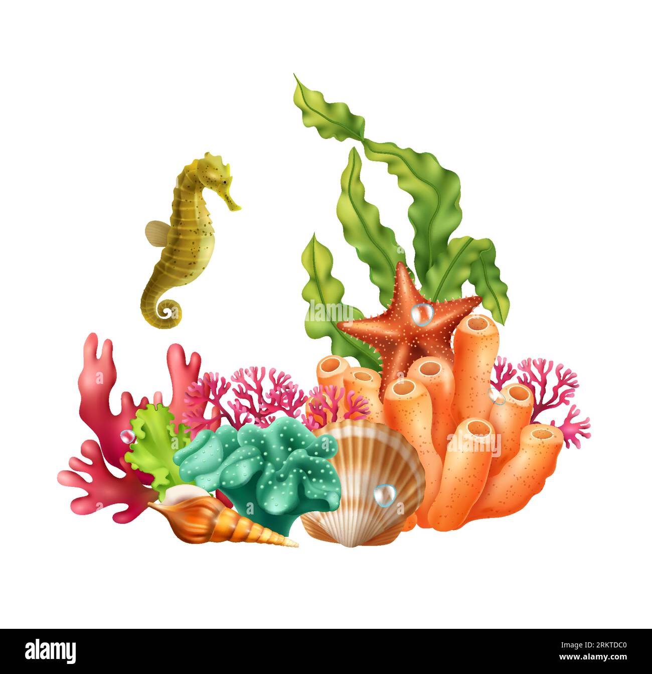 Composition réaliste sous-marine composée d'étoiles de mer coquilles d'hippocampe corail algue illustration vectorielle Illustration de Vecteur