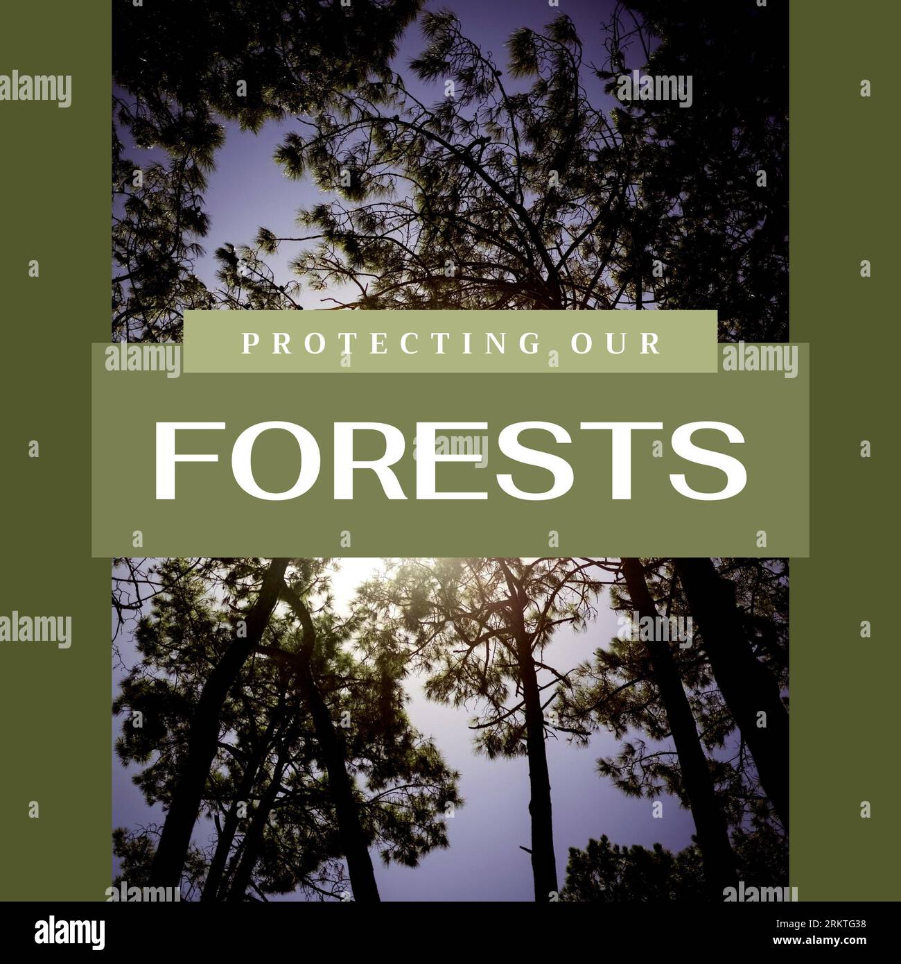 Composite de la protection de nos forêts texte et vue à faible angle de beaux arbres poussant dans la forêt Banque D'Images