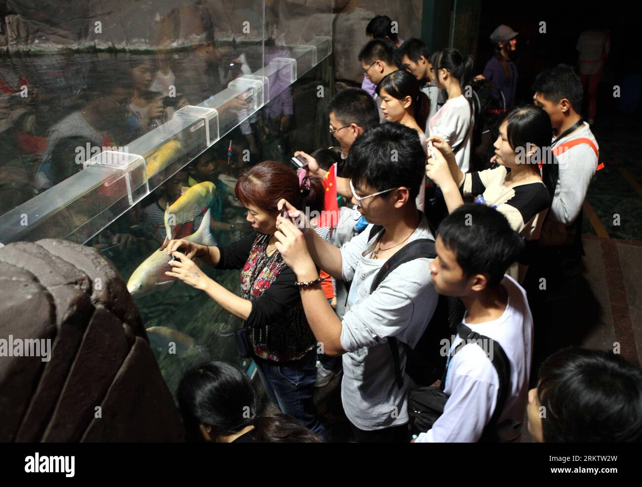 Bildnummer : 58551566 Datum : 04.10.2012 Copyright : imago/Xinhua (121004) -- SHANGHAI, 4 octobre 2012 (Xinhua) -- les visiteurs prennent des photos à l'aquarium océanique de Shanghai dans l'est de la Chine Shanghai, 4 octobre 2012. La ville a accueilli plus de 5 millions de touristes du 30 septembre au 4 octobre 2012. (Xinhua/Liu Ying) (mp) CHINE-SHANGHAI-TOURISTES (CN) PUBLICATIONxNOTxINxCHN Gesellschaft x0x xmb 2012 quer 58551566 Date 04 10 2012 Copyright Imago XINHUA Shanghai OCT 4 2012 XINHUA visiteurs prennent des photos dans l'aquarium océanique de Shanghai en Chine orientale S Shanghai OCT 4 2012 la ville a reçu plus de 5 millions de touristes fr Banque D'Images