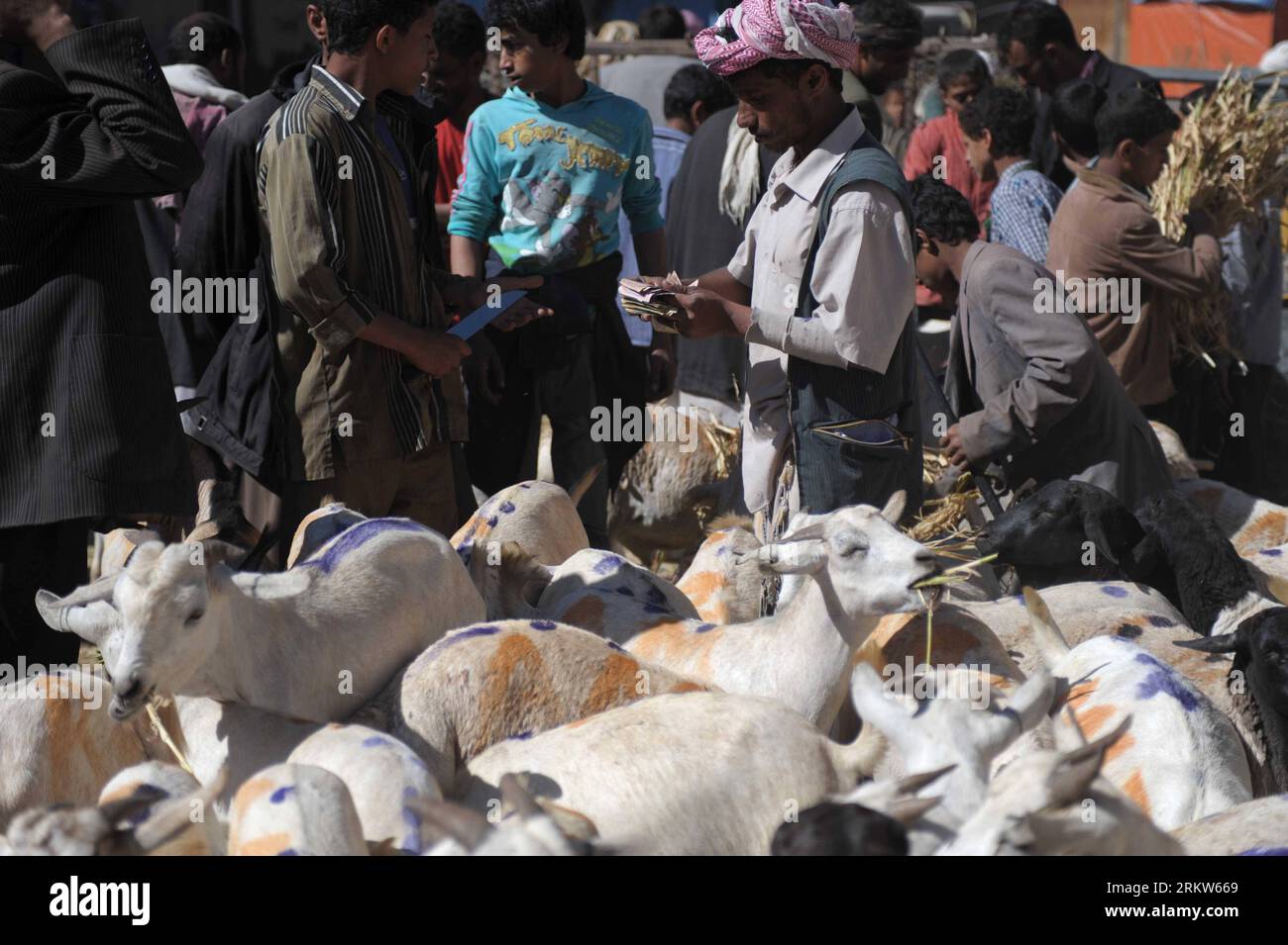 Bildnummer : 58622365 Datum : 23.10.2012 Copyright : imago/Xinhua (121023) -- SANAA, 23 octobre 2012 (Xinhua) -- des Yéménites choisissent des chèvres sur un marché de bétail à Yarim City, à 150 km au sud de la capitale Sanaa, le 23 octobre 2012, alors que le festival de l'Aïd Al-Adha approche. Les musulmans du monde entier se préparent à célébrer l’Aïd Al-Adha le 26 octobre, en abattant des chèvres, des moutons, des chameaux et du bétail. (Xinhua/Mohammed Mohammed) (cl) YEMEN-SANAA-EID AL-ADHA-PREPARATION PUBLICATIONxNOTxINxCHN Wirtschaft Landwirtschaft religion Islam Opfer Opfertier Viehzucht Tier Markt Viehmarkt x0x xdd 2012 quer premiumd 58622365 D Banque D'Images