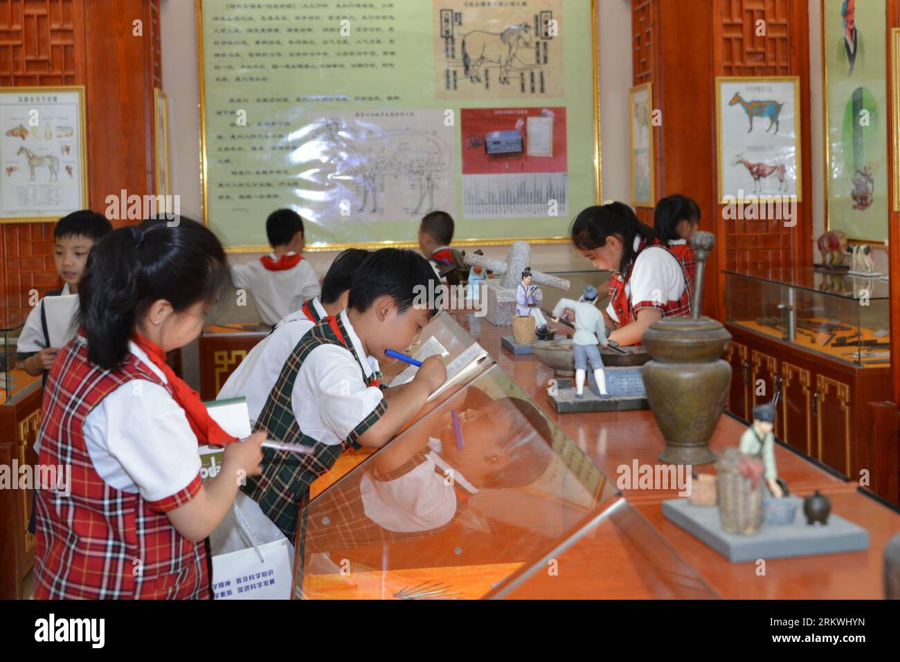 (230826) -- LANZHOU, 26 août 2023 (Xinhua) -- des élèves du primaire visitent une salle d'exposition de médecine vétérinaire traditionnelle chinoise à l'Institut d'élevage et de sciences pharmaceutiques de Lanzhou, qui relève de l'Académie chinoise des sciences agricoles, à Lanzhou, capitale de la province du Gansu, dans le nord-ouest de la Chine, le 12 juin 2023. POUR ALLER AVEC "la Chine publie une norme nationale pour la terminologie vétérinaire traditionnelle chinoise" (Institut de Lanzhou de l'élevage et des sciences pharmaceutiques/document via Xinhua) crédit : Xinhua/Alamy Live News Banque D'Images