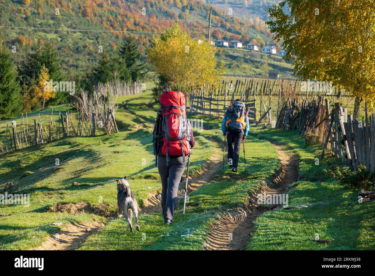 Randonneurs avec des sacs à dos sur le sentier de randonnée dans les montagnes. Style de vie actif et vacances en plein air Banque D'Images