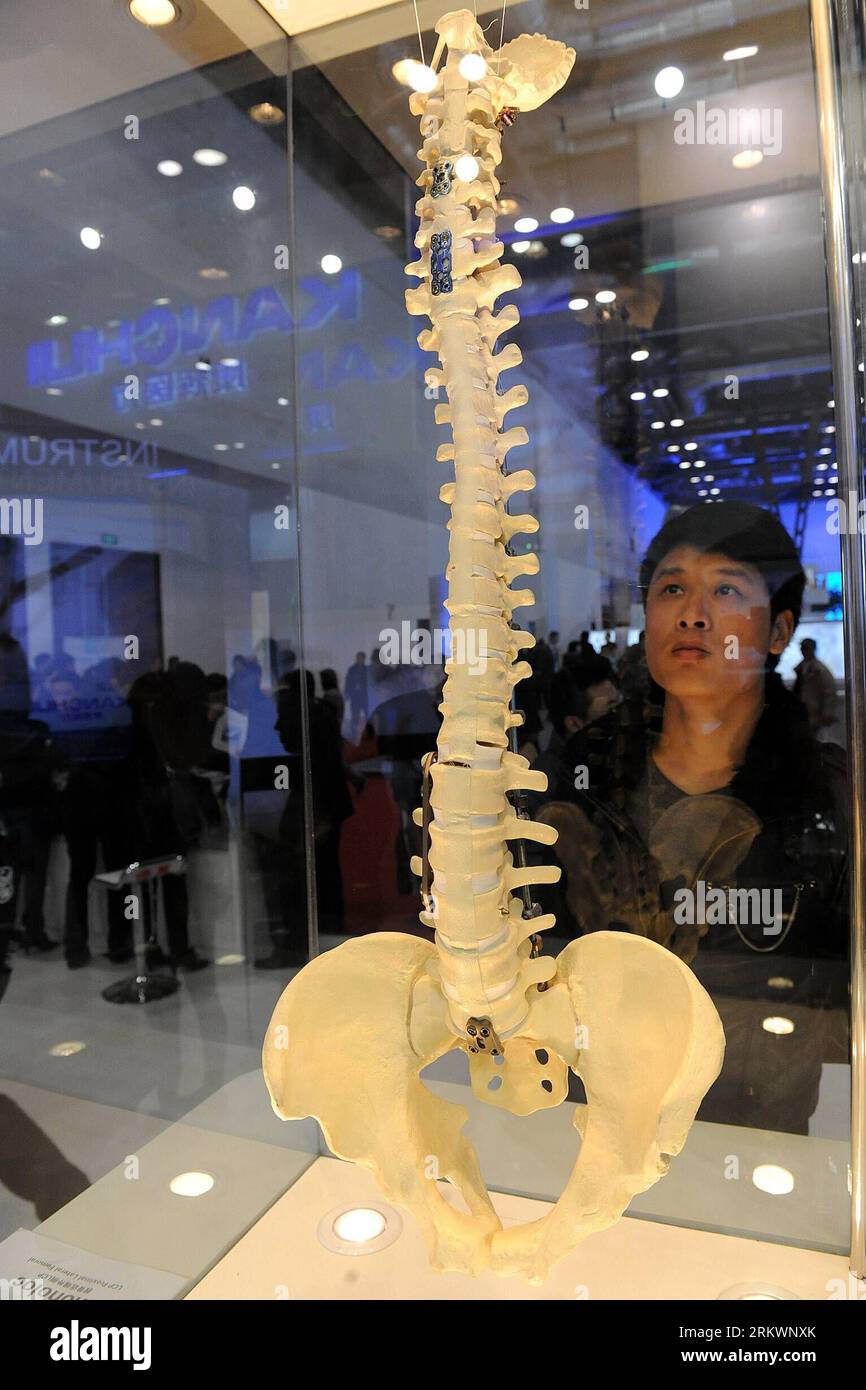 Bildnummer : 58714219 Datum : 18.11.2012 Copyright : imago/Xinhua Un visiteur regarde une maquette de vertèbres sur l'exposition de dispositifs médicaux orthopédiques lors du 7e Congrès international de l'Association orthopédique chinoise à Beijing, capitale de la Chine, le 18 novembre 2012. L'événement s'est terminé dimanche. (Xinhua/HE Junchang) (mp) CHINA-BEIJING-COA-7E CONGRÈS INTERNATIONAL-CLOSE (CN) PUBLICATIONxNOTxINxCHN Wirtschaft Messe Gesundheit Sanitätsbedarf Orthopaedie x0x xds 2012 hoch 58714219 Date 18 11 2012 Copyright Imago XINHUA un visiteur regarde un modèle de vertèbres SUR l'exposition d'orthopédie Banque D'Images