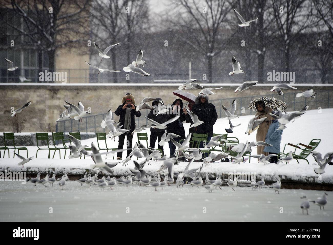 Bildnummer : 59110737 Datum : 20.01.2013 Copyright : imago/Xinhua (20012012) les mouettes débarquent de la glace d'un étang du jardin des Tuilleries comme 10cm de neige sont tombés pendant la nuit et le matin. Paris, FRANCE, 20 janvier 2012 FRANCE-PARIS-HIVER-NEIGE PUBLICATIONxNOTxINxCHN Gesellschaft Winter Schnee Jahreszeit x0x xac 2013 quer 59110737 Date 20 01 2013 Copyright Imago XINHUA mouettes pays de la GLACE d'un Étang du jardin les As de neige sont tombés pendant la nuit et le matin Paris France 20 janvier 2012 France Paris neige d'hiver PUBLICATIONxNOTxINxCHN Société hiver Banque D'Images