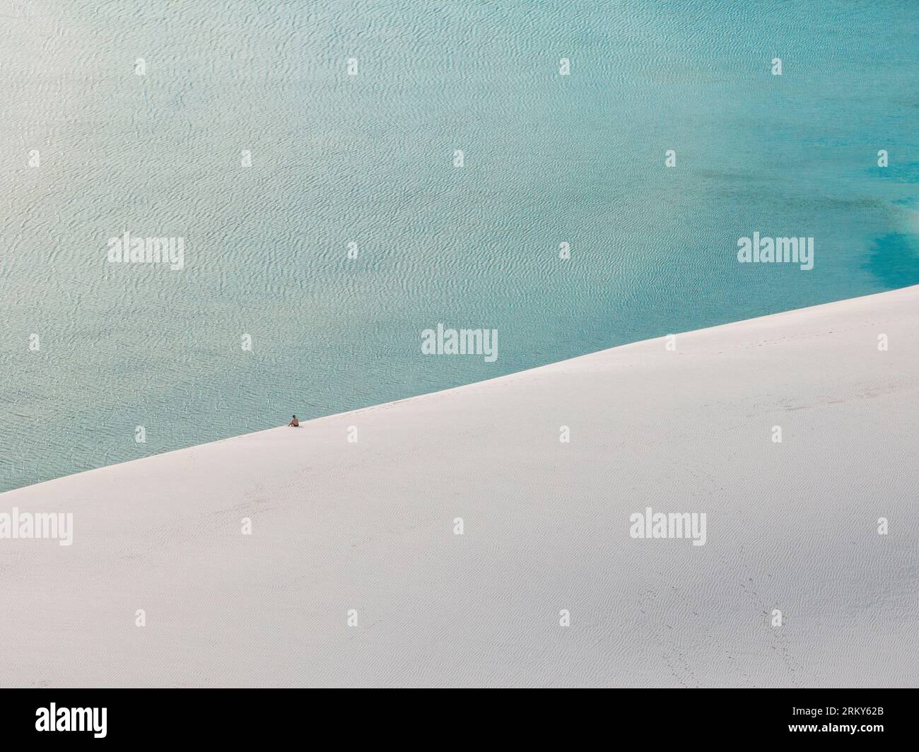 Vue aérienne de Lencois Maranhenses. Dunes de sable blanc avec piscines d'eau douce et transparente. Désert. Barreirinhas. Etat de Maranhao. Brésil Banque D'Images