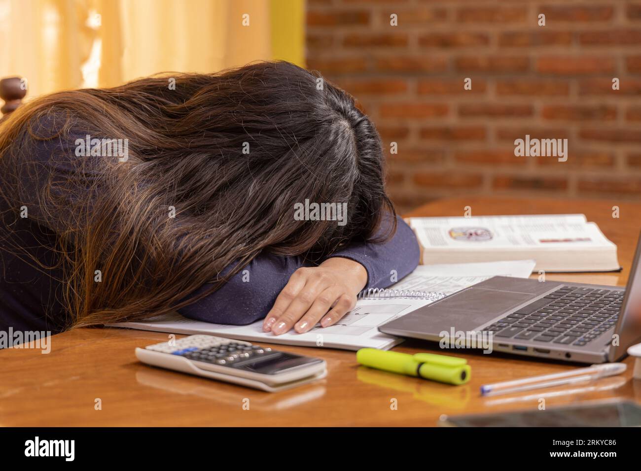 Étudiante frustrée, étudiant devant un ordinateur portable. Banque D'Images