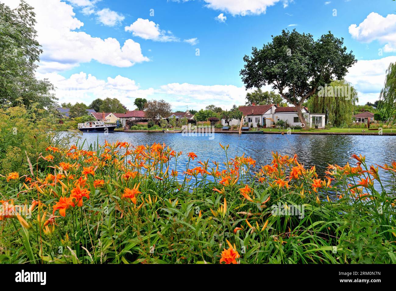 Maisons privées sur Pharoah's Island vu du bord de la rivière de Shepperton sur un jour d'été Surrey Angleterre Royaume-Uni Banque D'Images