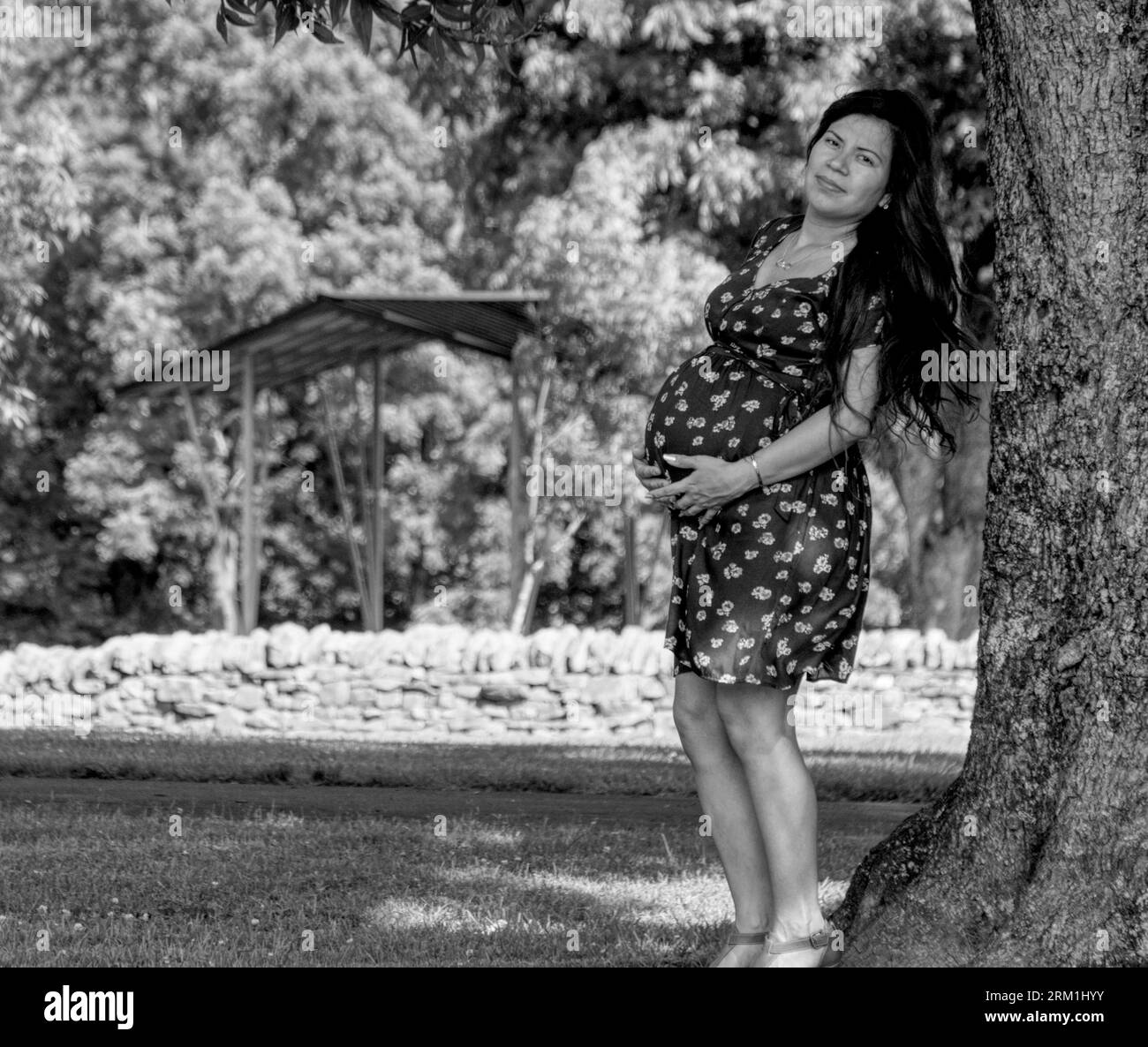 Femme mexicaine enceinte posant à côté d'un arbre dehors dans un parc Banque D'Images