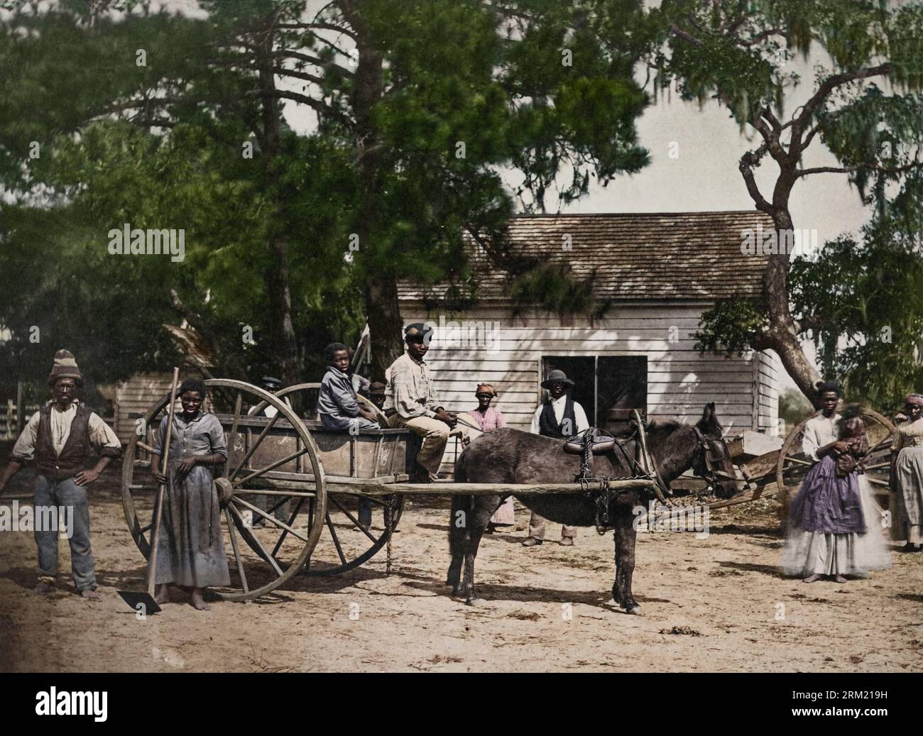 La photo montre un groupe d'esclaves afro-américains posés autour d'une charrette tirée par des chevaux, avec un bâtiment en arrière-plan, à la plantation de Cassina point de Banque D'Images