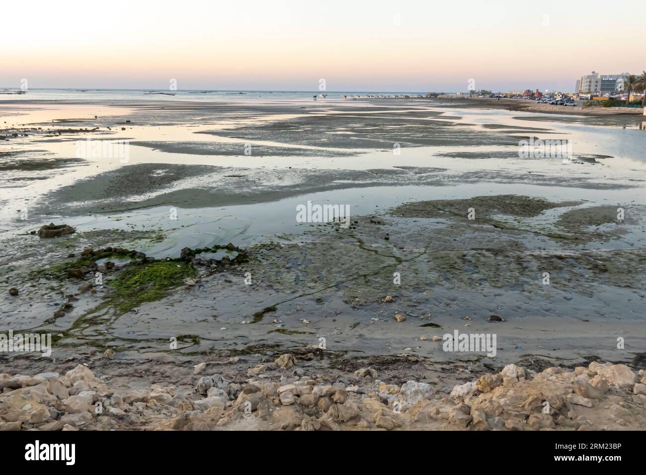 Bahreïn Al-Seef, plage de Karbabad. Le pétrole déversé atteint la plage laissant des globs de pétrole Banque D'Images