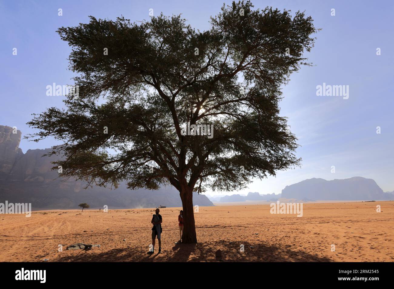 Vue d'ensemble du désert à Wadi Rum, site du patrimoine mondial de l'UNESCO, Jordanie, Moyen-Orient Banque D'Images