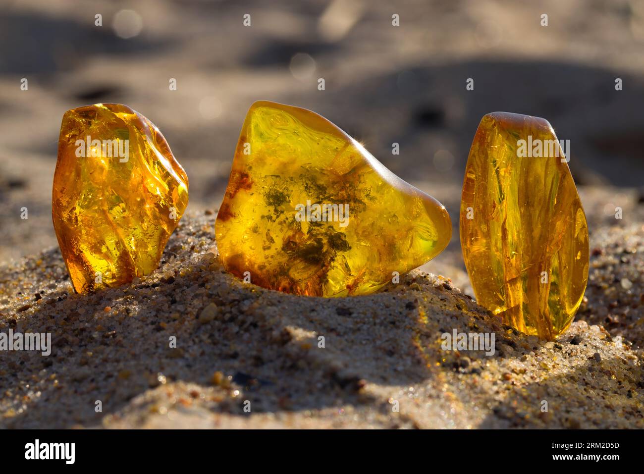 Quelques amers baltes naturels et polis sur une plage de sable aux rayons du soleil couchant. Kolobrzeg, Pologne. Banque D'Images