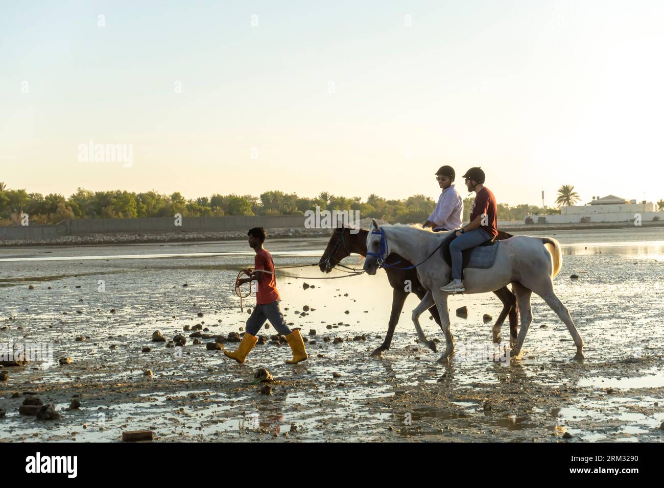 Équitation dirigée par un garçon à la plage de Karbabad, Seef Bahrain Banque D'Images