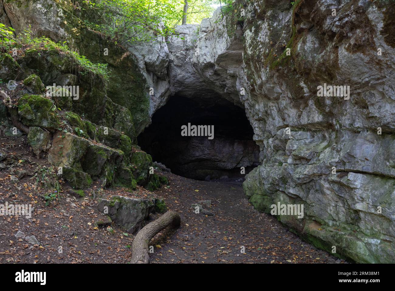 Portail de 'grotte calcaire Švédův stůl' (Table de Suède), karst morave. Site archéologique avec des humains néandertaliens notables et la présence de hyène. Banque D'Images