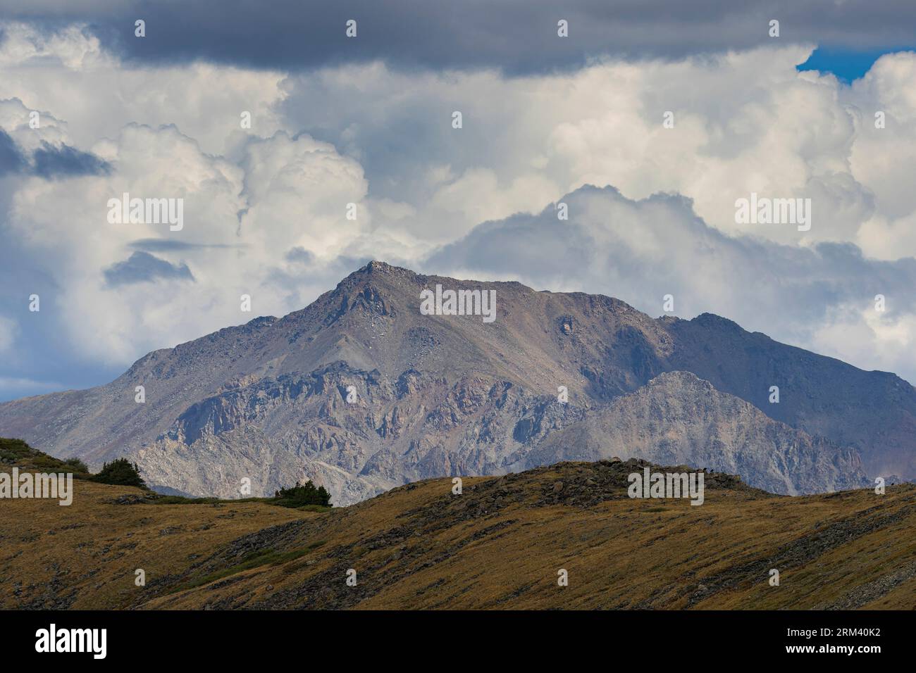 Cottonwood Pass et Collegiate Peaks par une matinée orageuse de fin d'été Banque D'Images