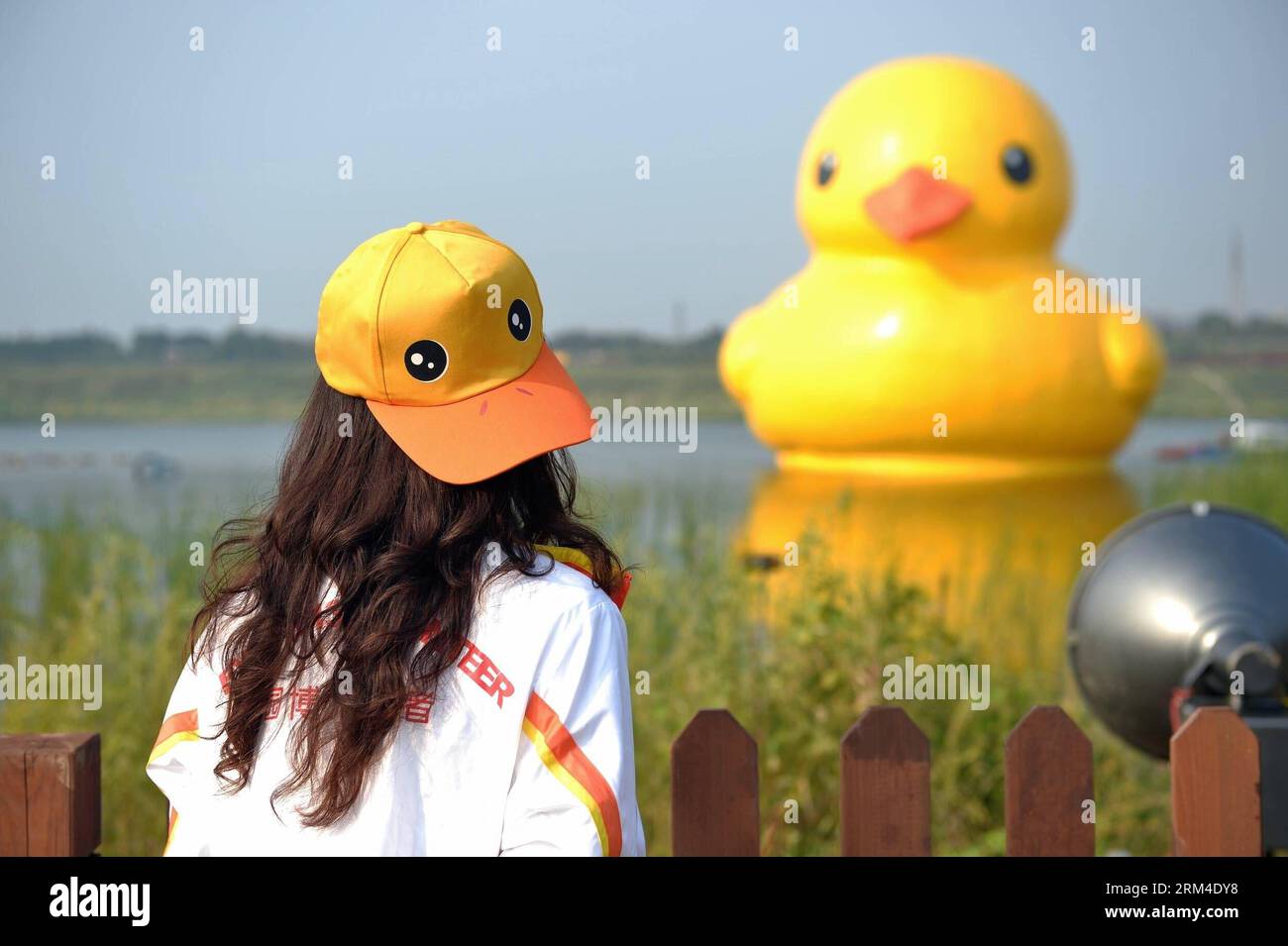 Bildnummer : 60441149 Datum : 06.09.2013 Copyright : imago/Xinhua (130906) -- BEIJING, 6 septembre 2013 (Xinhua) -- Un volontaire portant une casquette de canard voit un canard géant en caoutchouc sur le lac Yuanbo dans le Garden Expo Park à Beijing, capitale de la Chine, le 6 septembre 2013. Le canard en caoutchouc gonflable de 18 mètres de haut, créé par l'artiste néerlandais Florentijn Hofman, devrait visiter Pékin de septembre à octobre. (Xinhua/Li Xin) (hdt) CHINE-PÉKIN-CANARD GÉANT EN CAOUTCHOUC (CN) PUBLICATIONxNOTxINxCHN Kunst Kultur Gummiente Gross riesig xns x0x 2013 quer 60441149 Date 06 09 2013 Copyright Imago XINHUA Beijin Banque D'Images