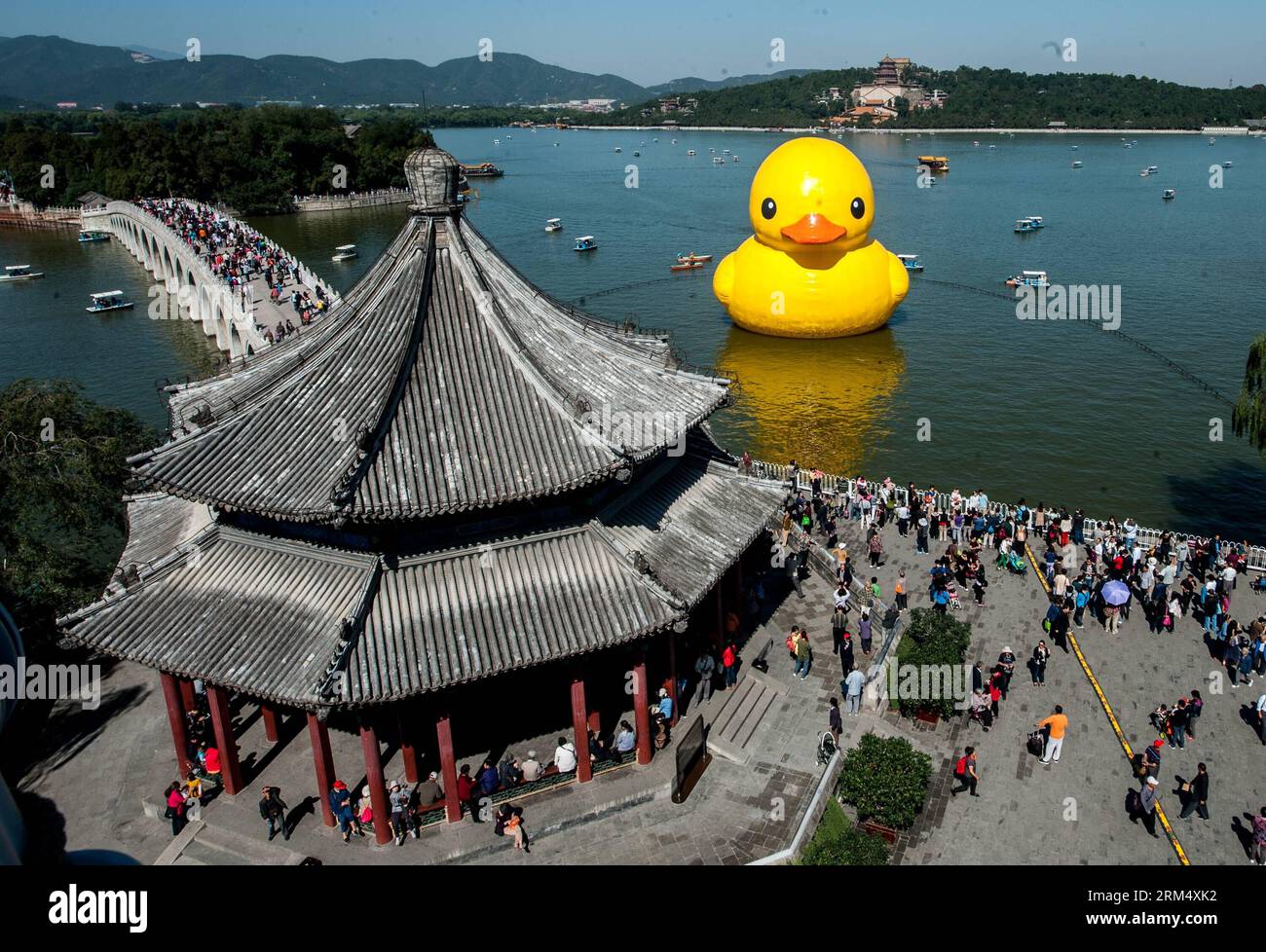 Bildnummer : 60528108 Datum : 26.09.2013 Copyright : imago/Xinhua (130926) -- BEIJING, 26 septembre 2013 (Xinhua) -- Un canard géant en caoutchouc est vu sur le lac Kunming au Palais d'été de Beijing, capitale de la Chine, le 26 septembre 2013. Le canard gonflable de 18 mètres de haut restera au Palais d'été, un lieu touristique célèbre de Pékin, jusqu'au 26 octobre. (Xinhua/Zhang Yu) (mp) CHINE-PÉKIN-CANARD GÉANT EN CAOUTCHOUC (CN) PUBLICATIONxNOTxINxCHN personnes Politik x0x xkg 2013 quer 60528108 Date 26 09 2013 Copyright Imago XINHUA Beijing sept 26 2013 XINHUA un canard en caoutchouc géant EST des lacs SUR le lac Kunming À l'été Banque D'Images