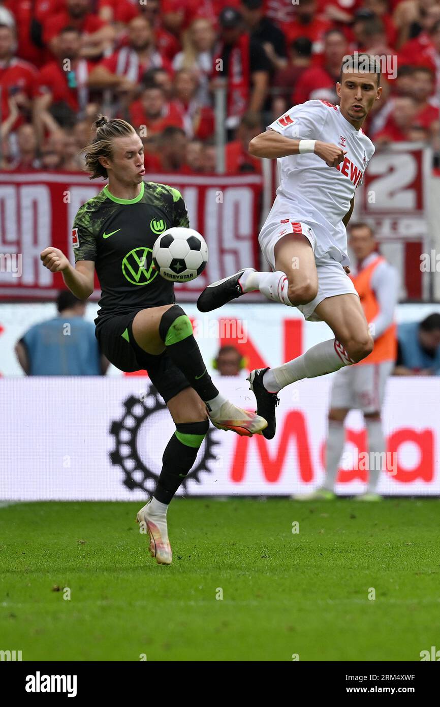Cologne, Allemagne. 26 août 2023. Dejan Ljubicic (R) de 1. FC Koln affronte Patrick Wimmer du VfL Wolfsburg lors de leur match de 2e tour de Bundesliga à Cologne, Allemagne, le 26 août 2023. Crédit : Ulrich Hufnagel/Xinhua/Alamy Live News Banque D'Images