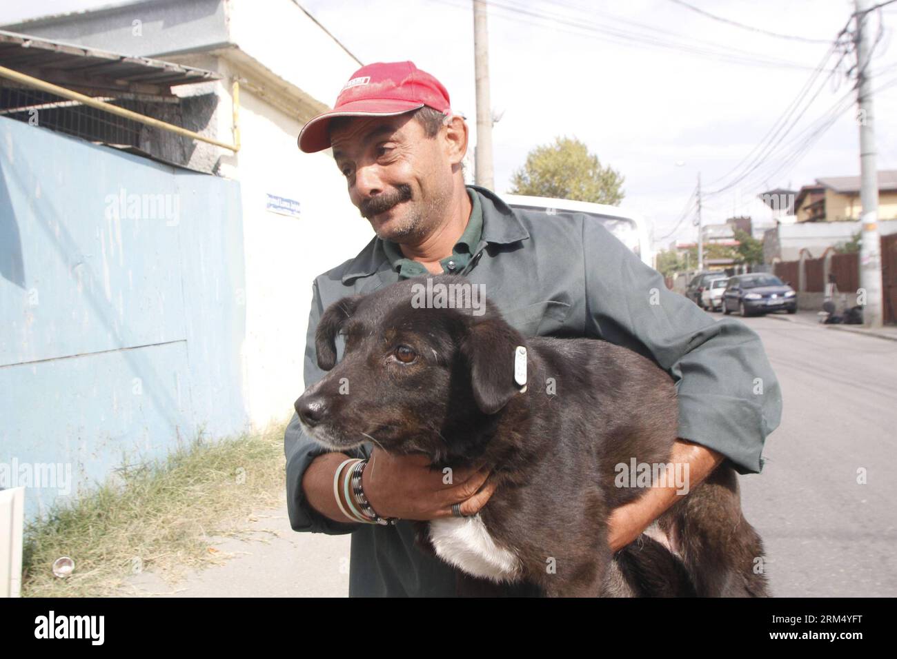 Bildnummer : 60535269 Datum : 27.09.2013 Copyright : imago/Xinhua (130927) -- BUCAREST, 27 septembre 2013 (Xinhua) -- Un homme tient un chien errant qu'il a adopté dans un refuge appartenant à l'État, après que la loi autorisant l'euthanasie des chiens errants a été adoptée le 25 septembre, à Bucarest, capitale de la Roumanie, le 27 septembre 2013. (Xinhua/Gabriel Petrescu) ROUMANIE-BUCAREST-CHIENS ERRANTS-ADOPTION PUBLICATIONxNOTxINxCHN Gesellschaft Tierheim Hunde Streuner Tierlieb xdp x0x 2013 quer 60535269 Date 27 09 2013 Copyright Imago XINHUA Bucarest sept 27 2013 XINHUA un homme tient un chien errant qu'il a adopté du Shel appartenant à l'État Banque D'Images
